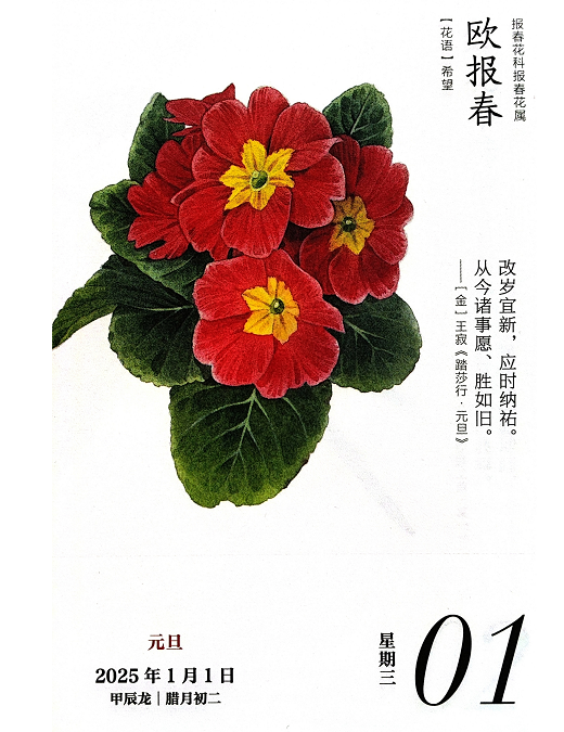 1735631898243796.png image.png